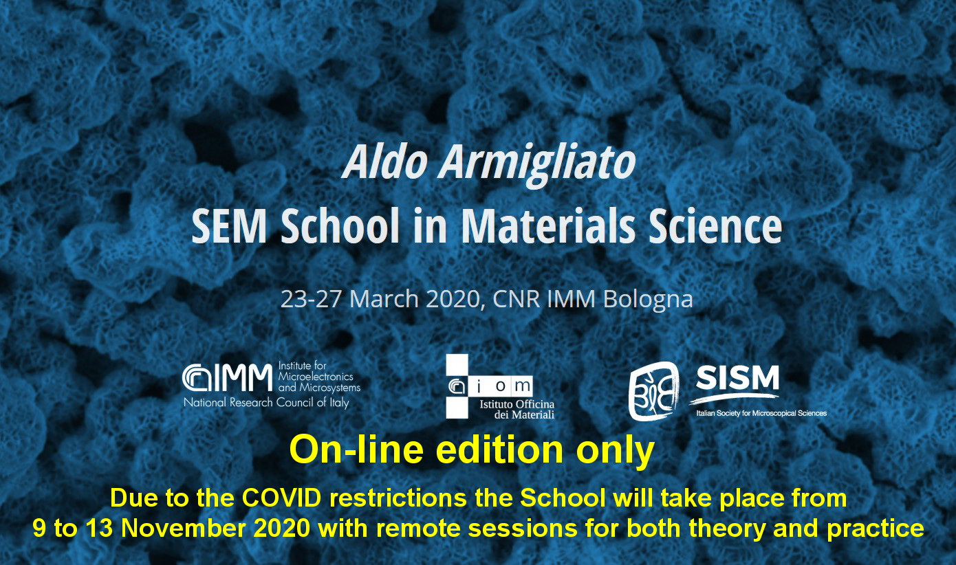 Aldo Armigliato SEM School in Materials Science