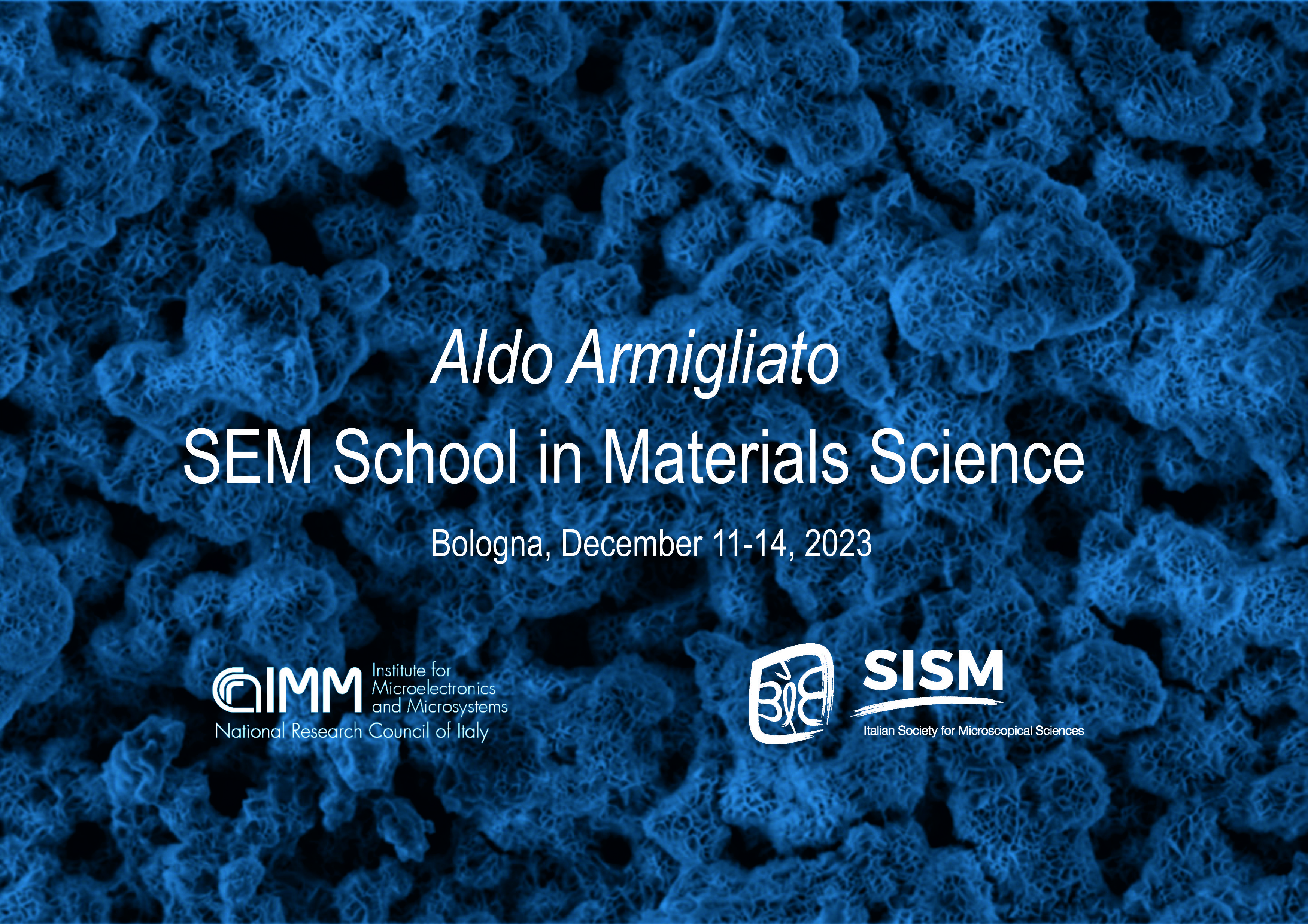 Aldo Armigliato SEM School in Materials Science - 2023 edition